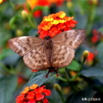 问剑诸天手游