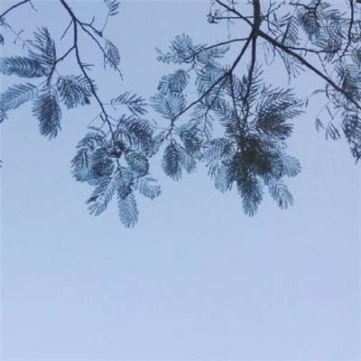 战斗艾拉游戏下载